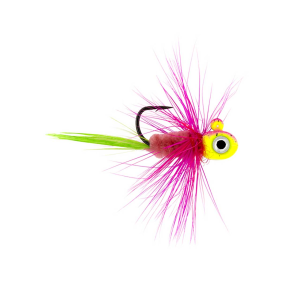 Image of Northland Tungsten Flat Fry Fly | Fruit Fly; 1/16 oz.