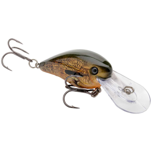 Image of Strike King Gravel Dawg Crankbait | Orange Bream; 10 ft.