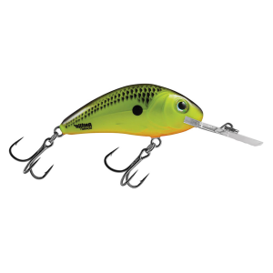 Image of Salmo Rattlin Hornet Floating Crankbait | Chartreuse Shad; 2 1/8 in.