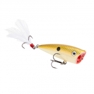 Image of Strike King Bitsy Splash | Tennessee Shad