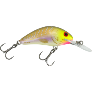 Image of Salmo Floating Hornet Crankbait | Funky Brown; 1 5/8 in.