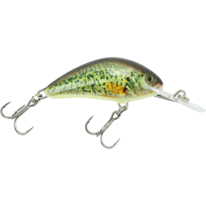 Image of Salmo Floating Hornet Crankbait | Real Crappie; 1 5/8 in.