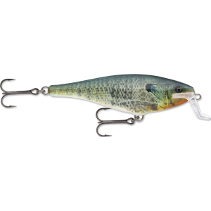 Image of Rapala Super Shad Rap | Live Bluegill; 5 1/2 in.