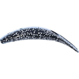 Image of Yakima Bait Spin-N-Fish 2-Pack | Skunk; 2 1/2 in.