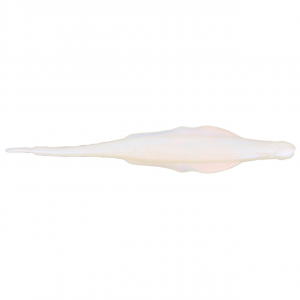 Image of Nories Lady Balance | Albino Pearl; 5.8 in.