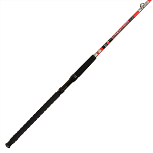 Image of BnM Silver Cat Elite Casting Rod