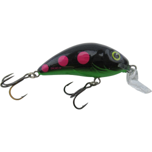 Image of Salmo Rattlin Hornet Shallow Runner Crankbait