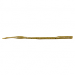 Image of Nories Futo Hassun Worm | Light Green Pumpkin Float; 8 in.