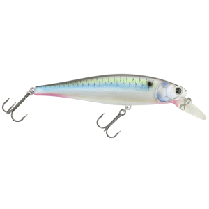 Image of Lucky Craft Pointer Jerkbait | Live Threadfin Shad; 100
