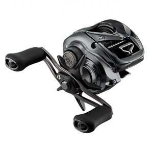 Image of Daiwa Tatula SV TW 100 Casting Reel | TATUSV100