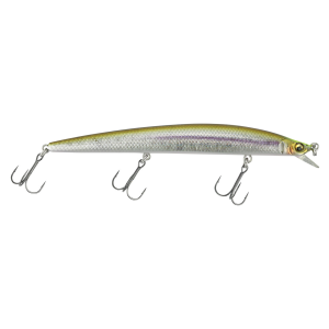 Image of Megabass Great Hunting 120 Jerkbait | GC Wakasagi CH