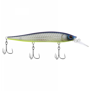 Image of Berkley Stunna 112 Series Jerkbait | Shad Fillet; 3 - 6 ft.