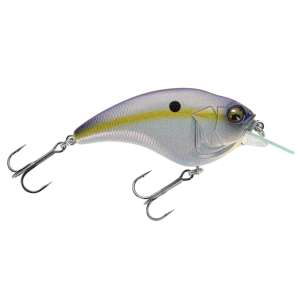 Image of Megabass Sonicside | Megabass Sexy Shad; 2.6 in.
