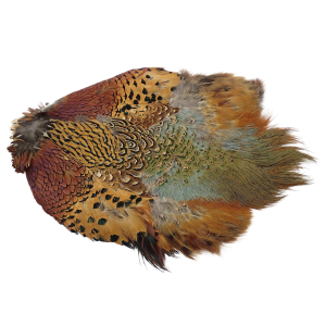 Image of Wapsi Ringneck Pheasant Skin with No Tail | Natural Cock
