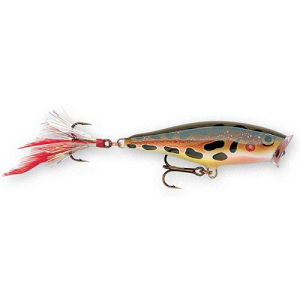 Image of Rapala Skitter Pop | Frog; 2 in.