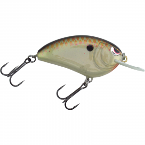 SPRO Rattling Little John Type R 50 Crankbait