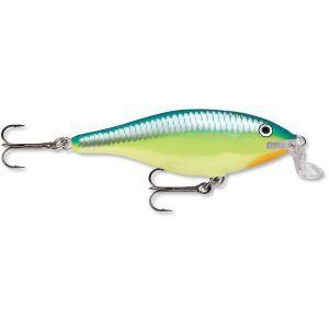 Image of Rapala Shallow Shad Rap | Caribbean Shad; 2 3/4 in.