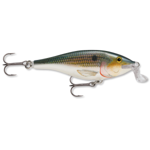Image of Rapala Shallow Shad Rap | Shad; 2 3/4 in.