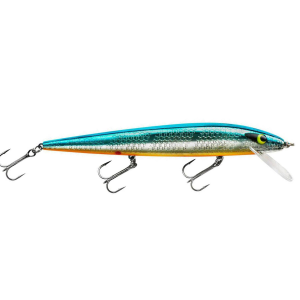 Image of Smithwick Perfect 10 Rogue | Chrome/Blue Back/Orange Belly; 5 1/2 in.