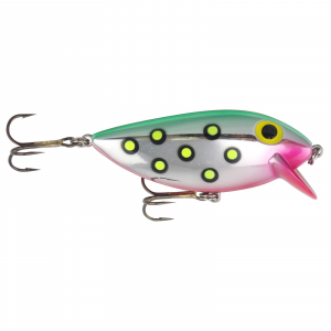 Image of Brad's ThinFish | Watermelon; 2 3/4 in.