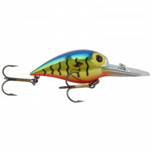 Image of Brad's Wiggler | Metallic Blue/Gold Tiger; 3 in.