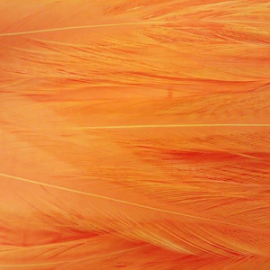 Image of Wapsi Strung Rooster Saddles | Fluorescent Orange