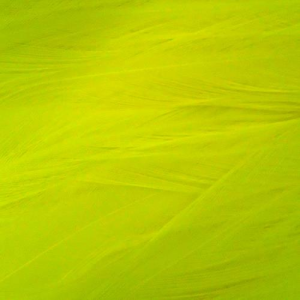 Image of Wapsi Strung Rooster Saddles | Fluorescent Yellow