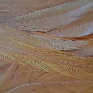 Image of Wapsi Strung Rooster Saddles | Ginger