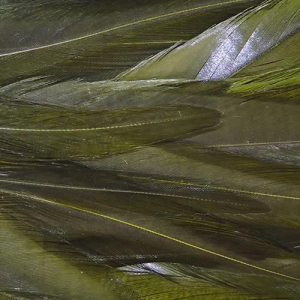 Image of Wapsi Strung Rooster Saddles | Olive