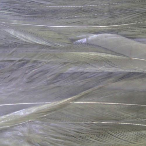 Image of Wapsi Strung Rooster Saddles | Shad Gray