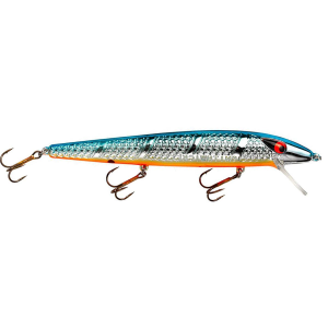 Image of Smithwick Suspending Super Rogue | Chrome/Blue Back/Orange Belly; 5 in.