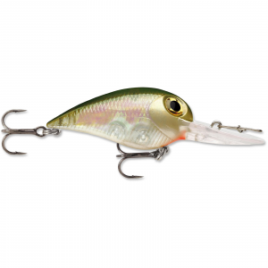 Image of Storm Wiggle Wart MadFlash Crankbait | Tennessee Shad; 2 in.