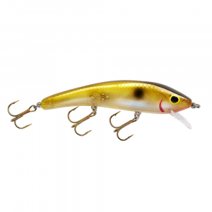 Image of Cotton Cordell Ripplin' Red Fin | Black Ayu; 4 1/2 in.
