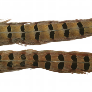 Image of Wapsi Ringneck Pheasant Tail Feathers | Natural