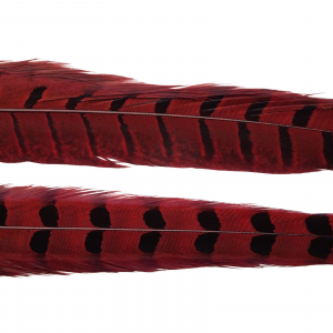 Image of Wapsi Ringneck Pheasant Tail Feathers | Red