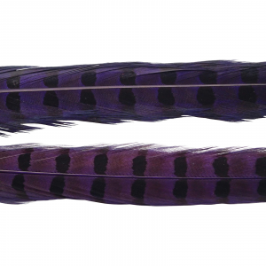 Image of Wapsi Ringneck Pheasant Tail Feathers | Purple