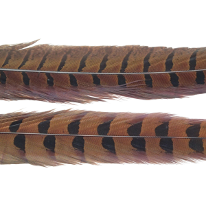 Image of Wapsi Ringneck Pheasant Tail Feathers | Rusty Brown