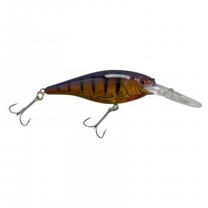 Image of Berkley Flicker Shad Pro Series Crankbait | Slick Purple Bengal; 1 3/5 in.