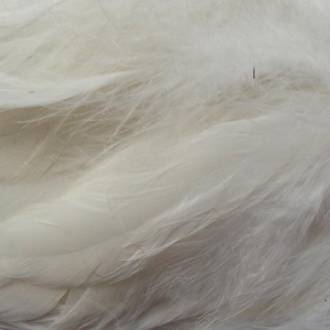 Image of Wapsi Strung Schlappen | White