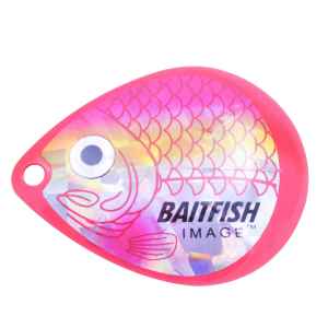 Image of Northland Baitfish-Image Colorado Blades | Dace Pink; 6