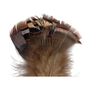 Image of Wapsi Ozark Turkey Tail Feathers | Iridescent Natural