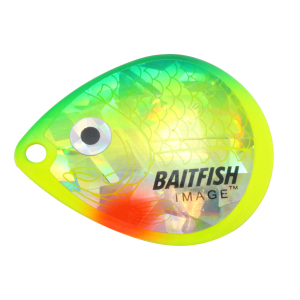 Image of Northland Baitfish-Image Colorado Blades | Sunfish; 5