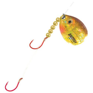 Image of Northland Baitfish-Image Spinner Harness | Gold Shiner; 3