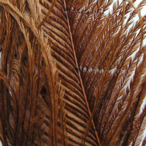 Image of Wapsi Ostrich Herl | Brown (OH047)