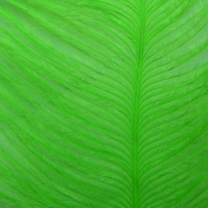 Image of Wapsi Ostrich Herl | Fl. Chart. (OH509)