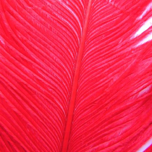 Image of Wapsi Ostrich Herl | Red (OH056)