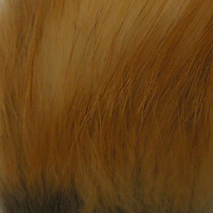 Image of Wapsi Fox Hair | Red Fox