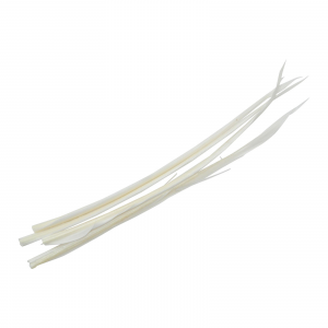 Image of Wapsi Turkey Biots | White