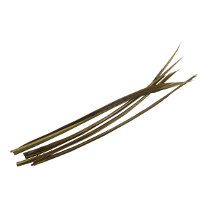 Image of Wapsi Turkey Biots | Blue Wing Olive