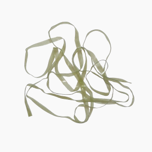 Image of Wapsi Scud Back | Dark Olive